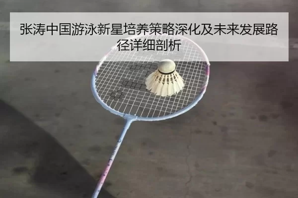 张涛中国游泳新星培养策略深化及未来发展路径详细剖析